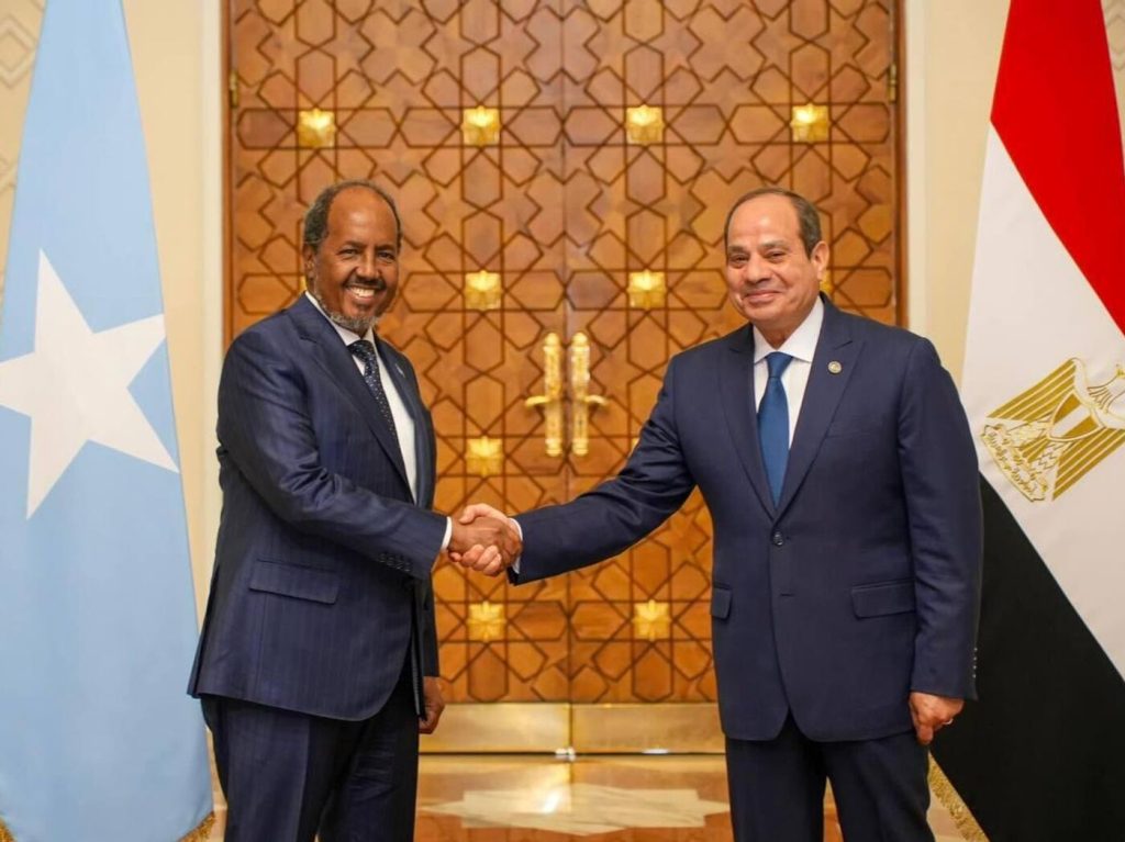 Egyptian President Abdel Fattah al-Sisi and Somali President Hassan Sheikh Mohamud