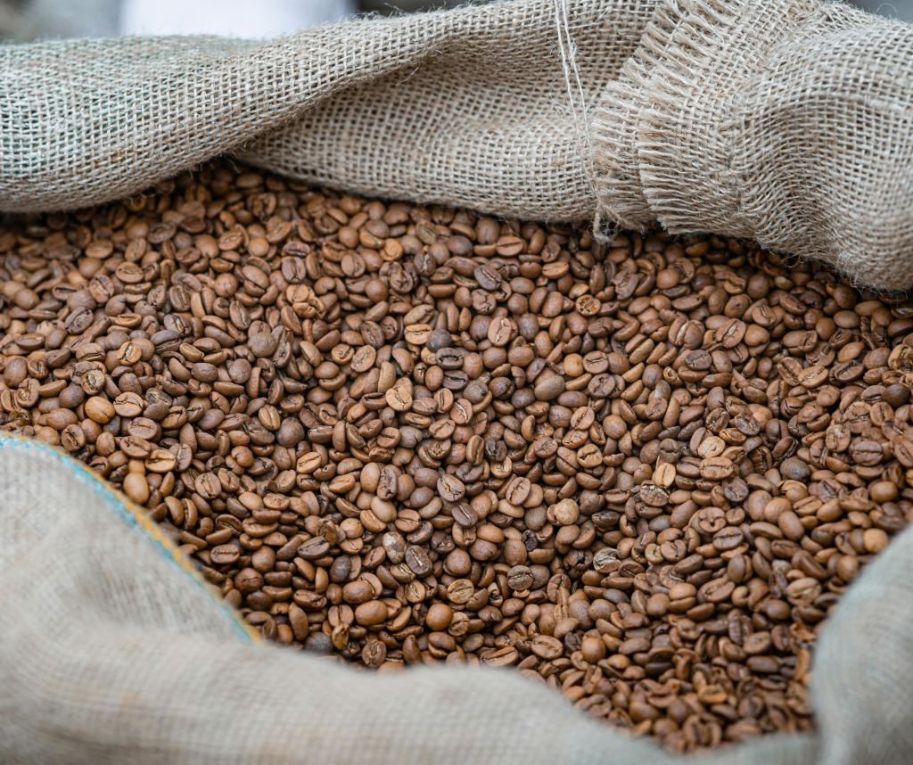 Officials noted that overall export revenues have grown steadily over the past five years, rising from roughly $5 billion in 2020 to $13.4 billion in 2025.